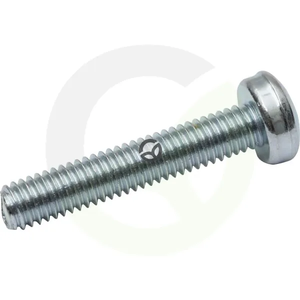 Vijak z ovalno glavo Torx - 3x20 - DIN7985