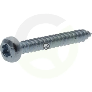 Samonavojni vgrezni vijak Torx - 2.9x19mm