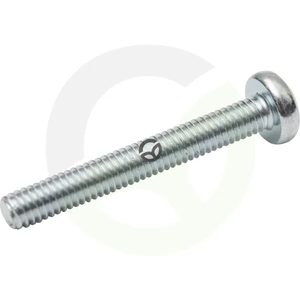 Vijak z ovalno glavo Torx - 4x30 - DIN7985