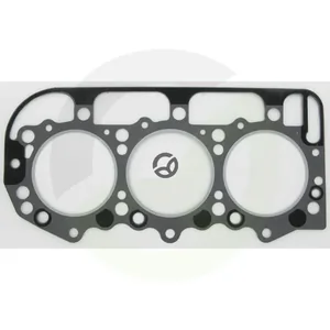 Tesnilo glave cilindra NH - Glaser Dana 81819540
