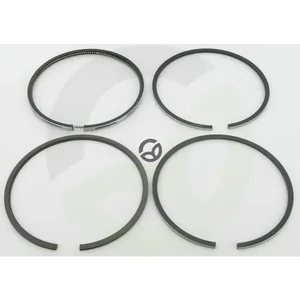 Komplet batnih obročev .030 Ford 83917470N