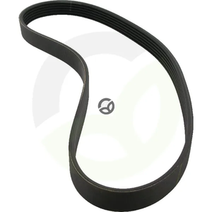 Rebrasti jermen 4PJ307 - Fini 9075338