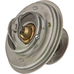 Termostat - Massey Ferguson (AGCO) ACW2170430