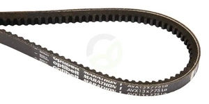 AVX13825_1