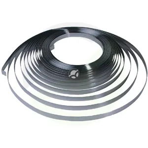 Pritrdilni trak nerjaveče jeklo 9,5 mm - Bandimex B203