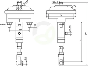 BCDT2430_2