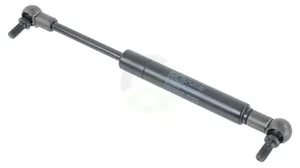 CA313718_2