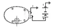 CA503772446_3