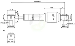 CA000213_2