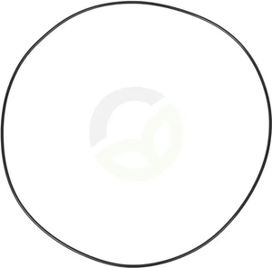 O-tesnilo - Carraro 28668