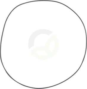 O-tesnilo - Carraro 28632