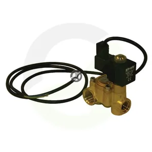 Elektromagnetni ventil s kablom, 40 b - Braglia 20019151