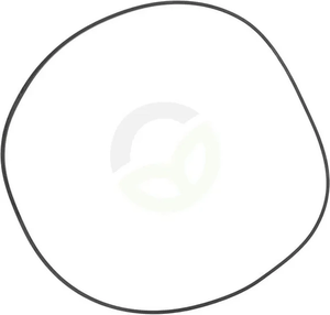 O-tesnilo - Carraro 120207