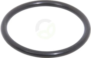 O-tesnilo - Carraro 28623