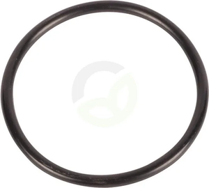 O-tesnilo - Carraro 28557