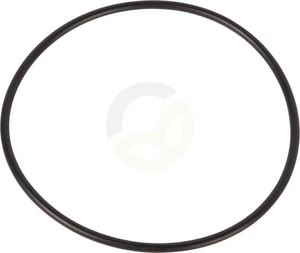 O-tesnilo - Carraro 28533