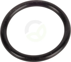 O-tesnilo - Carraro 28129