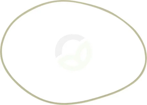 O-tesnilo - Carraro 831460