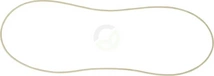 O-tesnilo - Carraro 831467