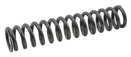 Vzmet CW10 - CWP10V