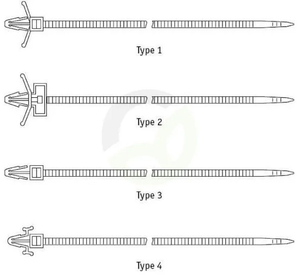 CT351554836_2