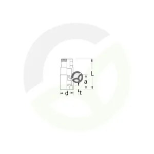 DP53_3