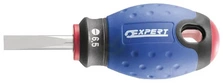 Izvijač 6.5x25 - Expert E165404