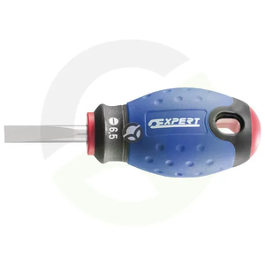 Izvijač 5.5x25 - Expert E165400