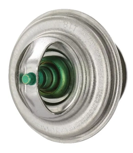 Termostat - Fendt (AGCO) F119200050040