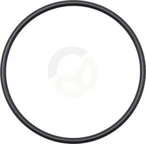 O-tesnilo - Fendt (AGCO) F178950010040