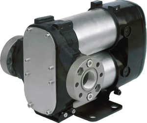 Črpalka za gorivo BI-PUMP 12/24V F0036321A