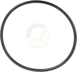 F339860060010_2