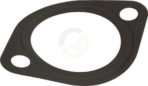 Tesnilo termostata - Fendt (AGCO) F934201610140