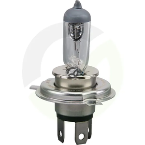 Žarnica 12V 100W/90W P43t - Philips GL12569RAC1
