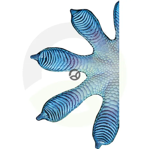 GWE1500H13_2