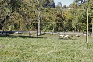 Električna mreža za ovce, 105 cm - AKO 27200