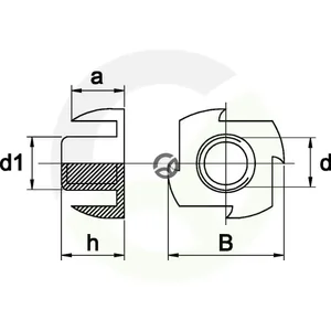 INSM1013_2