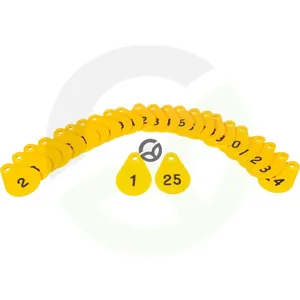 3990500000045175_2