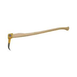 Cepini