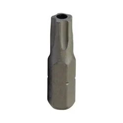 Torx plus z luknjo