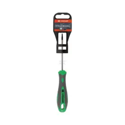 Torx izvijači