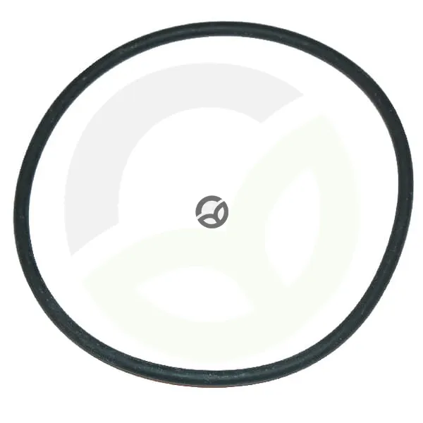 O-tesnilo - Banjo LSQ200RV