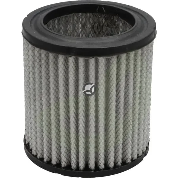 Zračni filter Donaldson P606079
