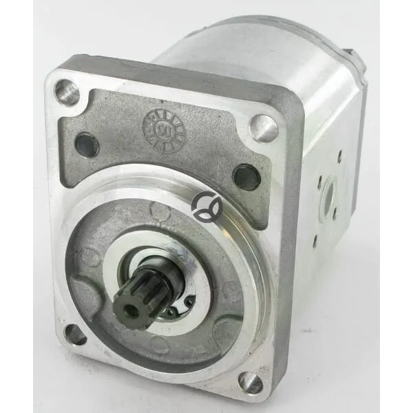 Motor PLM20.20D0-12B2-LBC/BE-N-EL - Casappa PLM2020D012B2