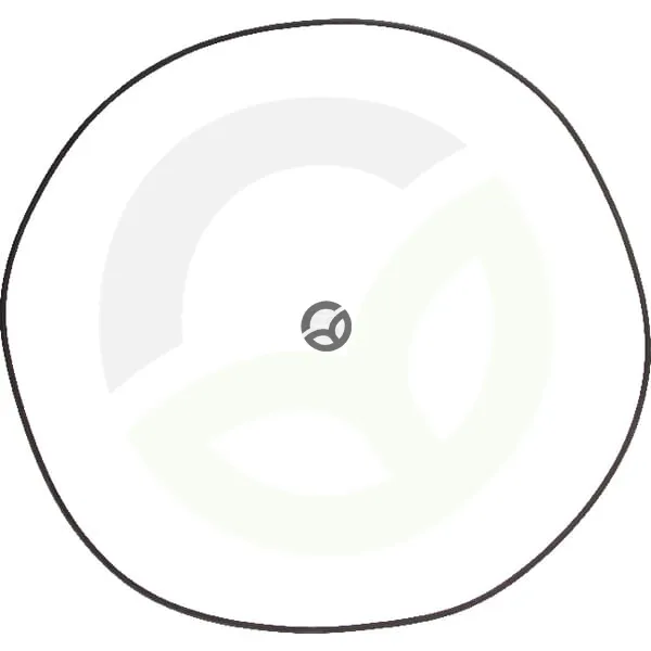 O-tesnilo - Dana Spicer 001053338