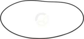 O-tesnilo - Dana Spicer 001053300
