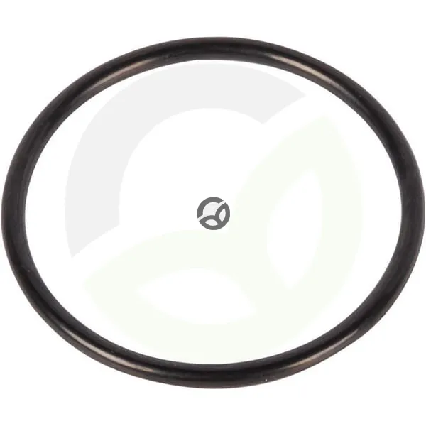 O-tesnilo - Dana Spicer 001051152