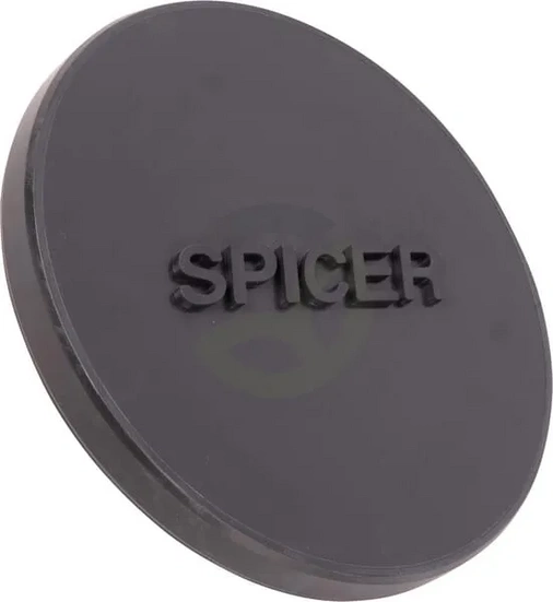 Vtič - Dana Spicer 1760103504