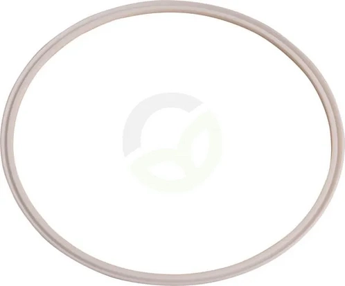Ploščato tesnilo Ptfe - Dana Spicer 237032