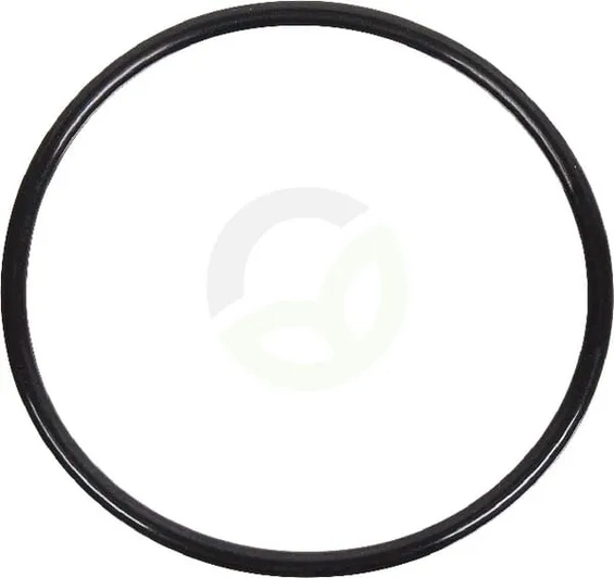 Tesnilo termostata - Massey Ferguson (AGCO) 4222848M1